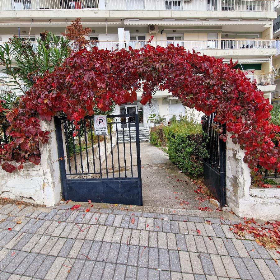Best Minimal Studio In Xanthi - Myhomee Zewnętrze zdjęcie